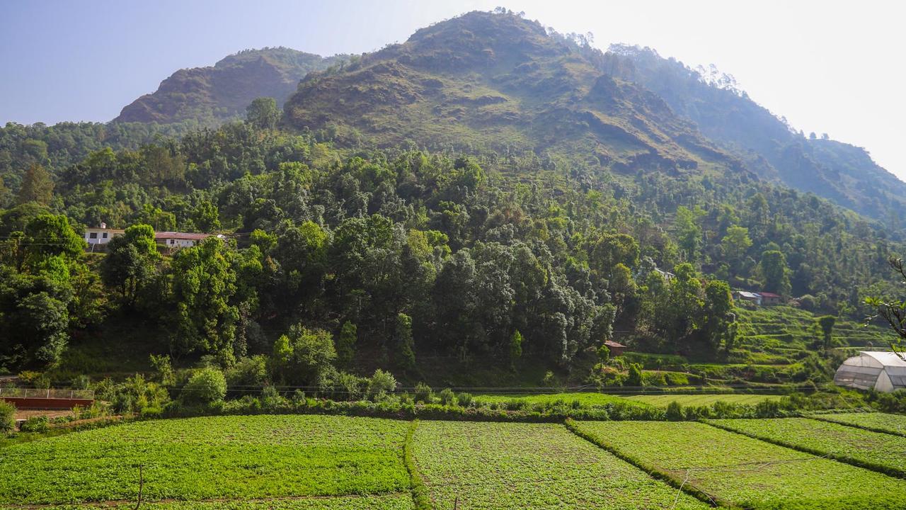 The Jungle Pool By Beyond Stay Nainital Eksteriør bilde